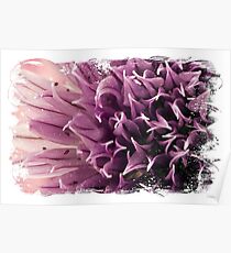 Chive Macro Poster