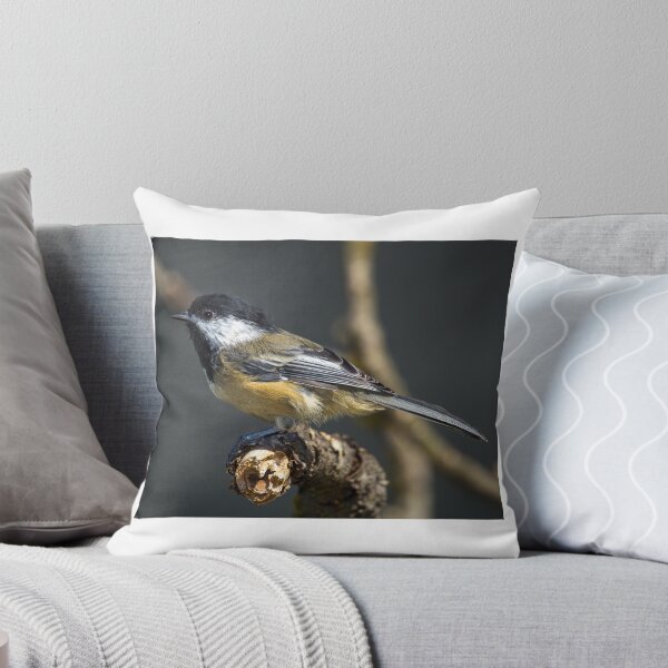 Artikelvorschau, Black Capped Chickadee entworfen und verkauft von RandyHume.