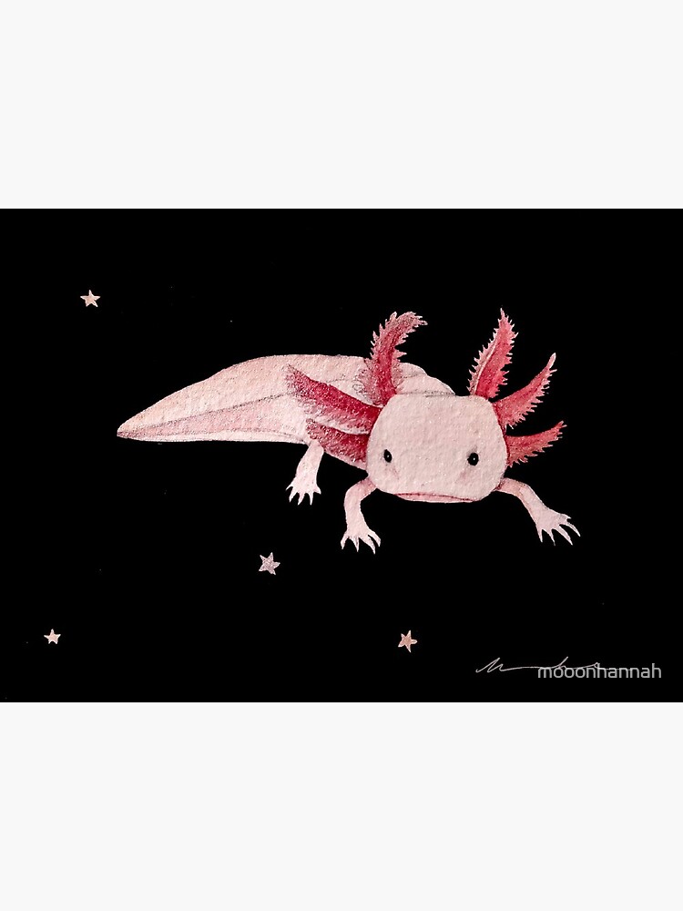 Another Pink Axolotl Art Board Print By Mooonhannah Redbubble