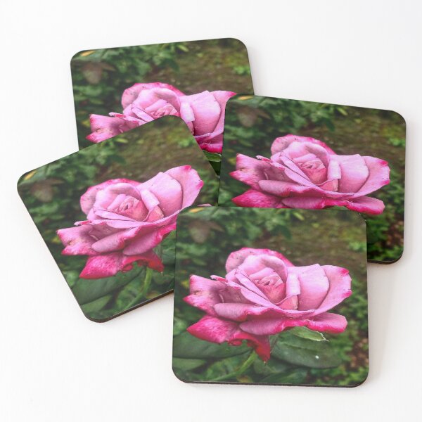 Item preview, A Hybrid Pink Rose with Green Background designed and sold by Anmol Arts.