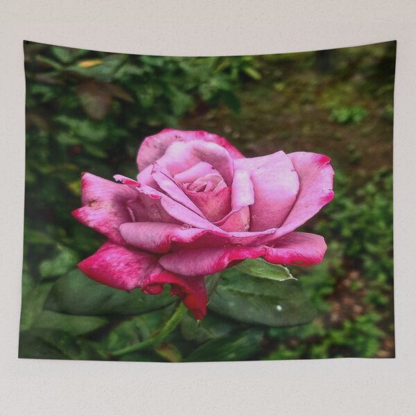 Item preview, A Hybrid Pink Rose with Green Background designed and sold by Anmol Arts.