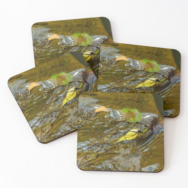 Item preview, Water and leaves designed and sold by Dalyndigital Photography.