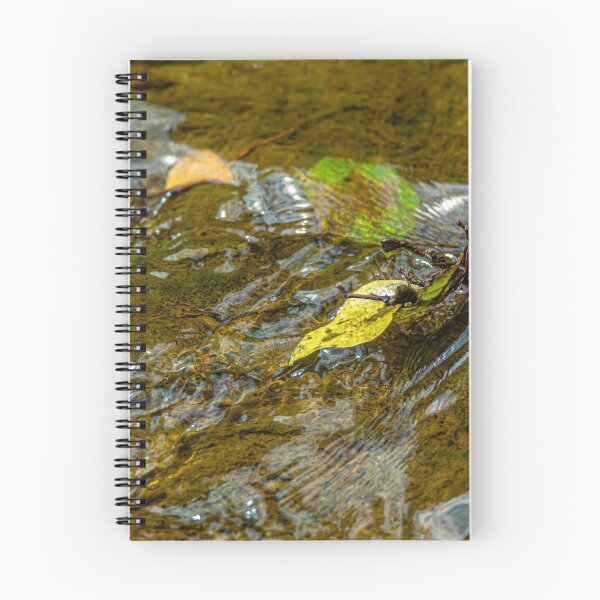 Item preview, Water and leaves designed and sold by Dalyndigital Photography.