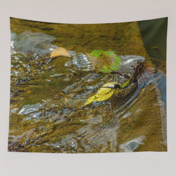 Item preview, Water and leaves designed and sold by Dalyndigital Photography.
