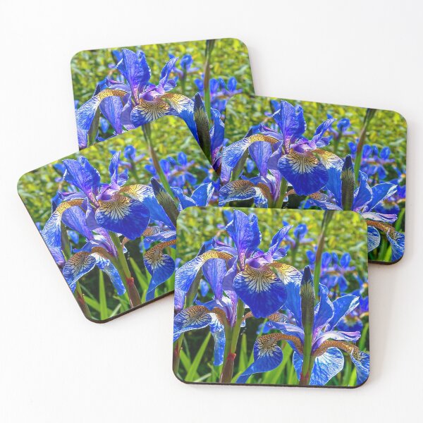 Item preview, Iris Blues designed and sold by Dalyndigital Photography.