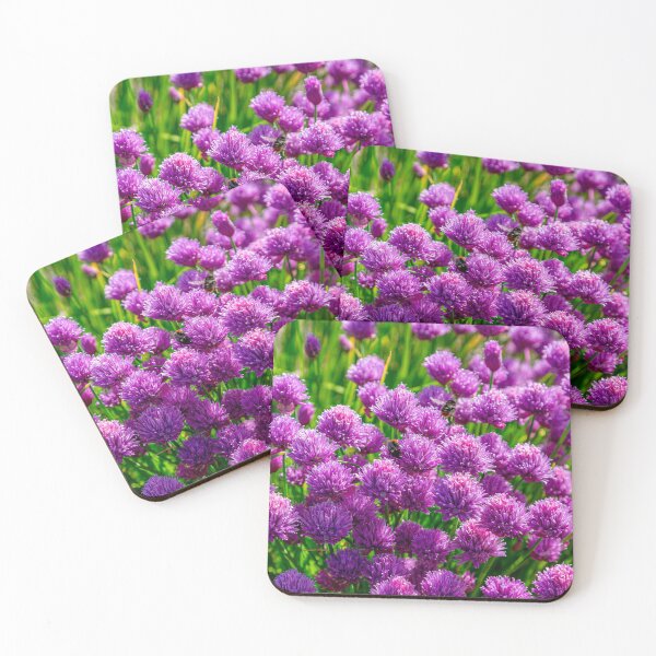 Item preview, Chives and BumbleBees designed and sold by Dalyndigital Photography.