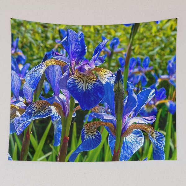 Item preview, Iris Blues designed and sold by Dalyndigital Photography.