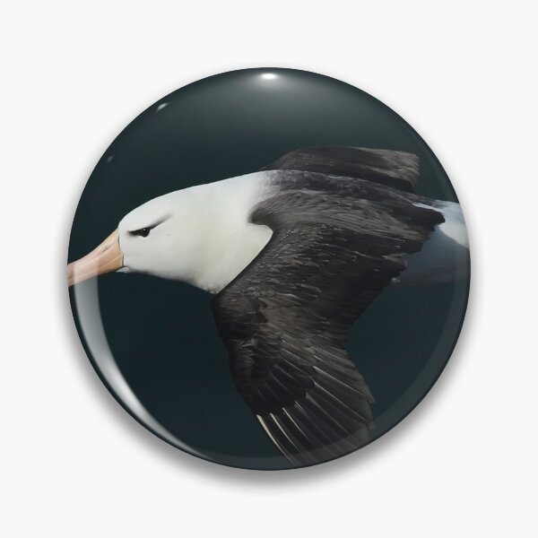 Item preview, Black-browed Albatross designed and sold by Dean   Eades.