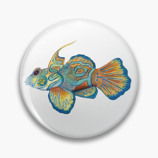 Item preview, Dragonet Fish designed and sold by laurenpenney.