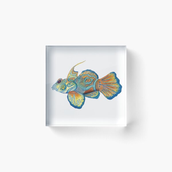 Dragonet Fish Acrylic Block