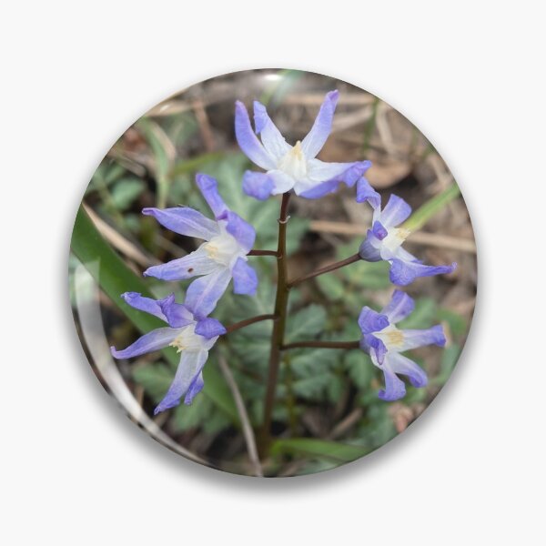 Artikelvorschau, Waldboden entworfen und verkauft von MichiganBeauty.
