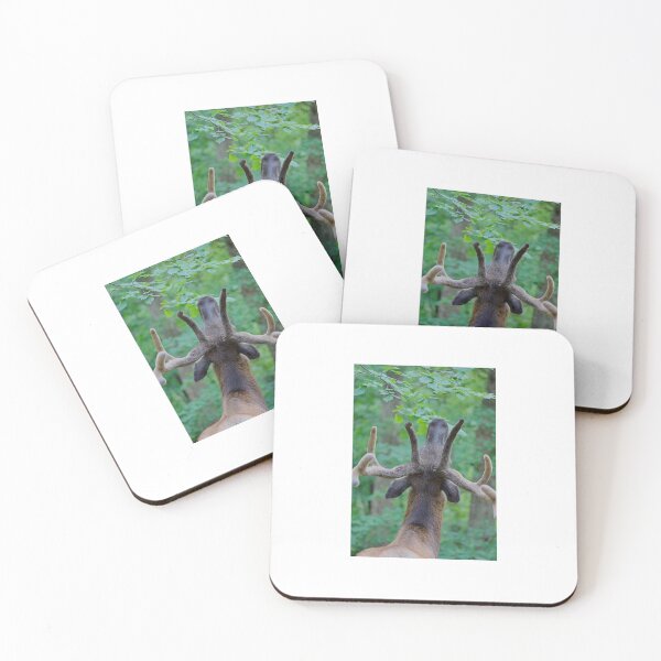 Item preview, Elk  designed and sold by Jessica  Barker.
