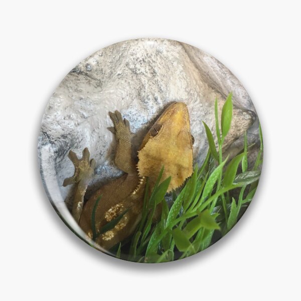 Item preview, Crown gecko designed and sold by elaine-gregers.