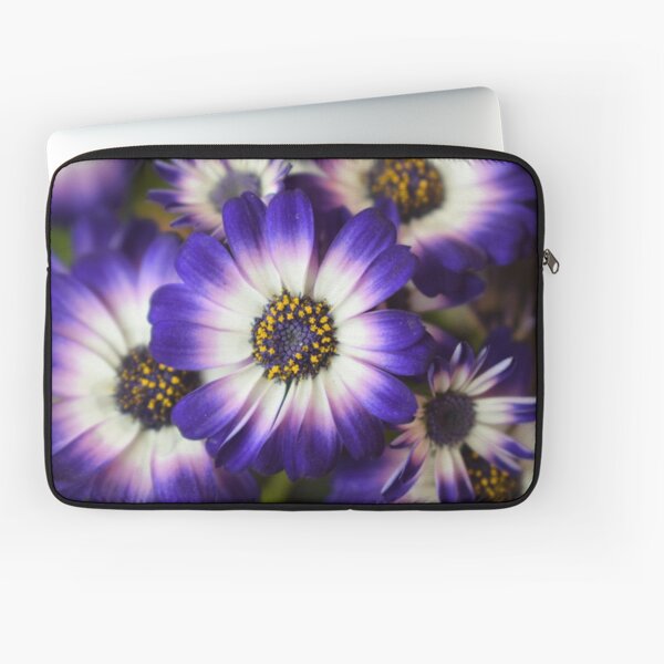 AFRICAN DAISIES - High Definition African Daisy Flowers HD Blue Puple African Daisy Laptop Sleeve