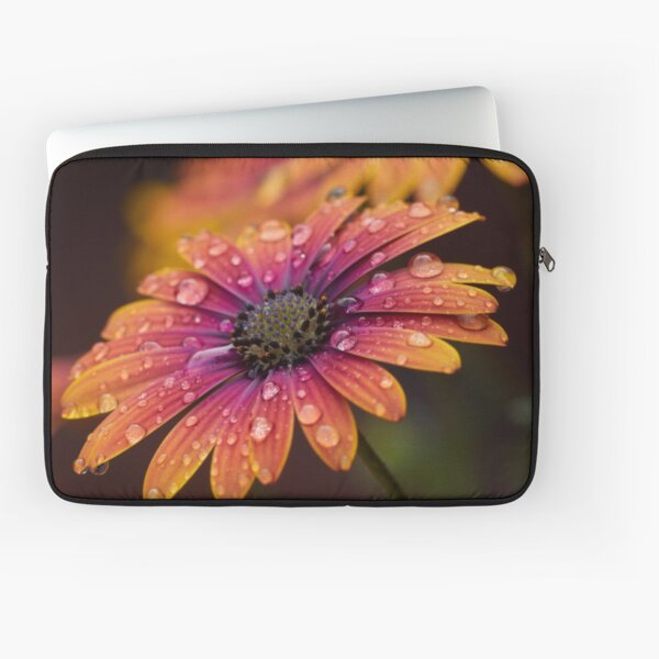 ORANGE AFRICAN DAISY - High Definition Macro Photo African Daisy Flower Floral Print Laptop Sleeve