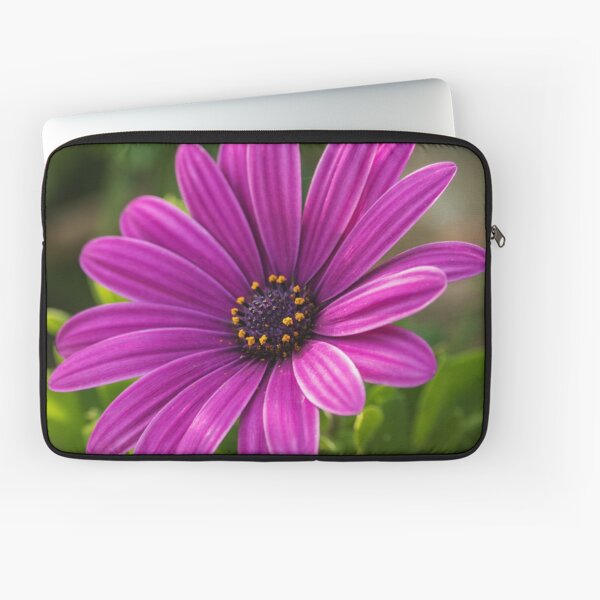 PINK AFRICAN DAISY - High Definition African Daisy Flower African Daisies Floral Print Laptop Sleeve