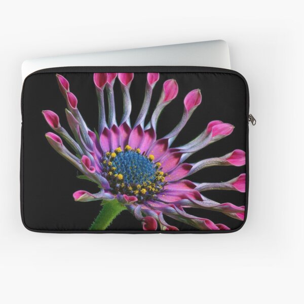 PURPLE AFRICAN DAISY - High Definition African Daisy Flower African Daisies Floral Print Laptop Sleeve