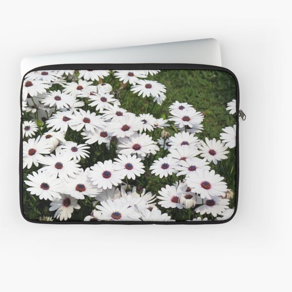 WHITE AFRICAN DAISIES - HD African Daisy Flowers Best High Definition Art Print Laptop Sleeve