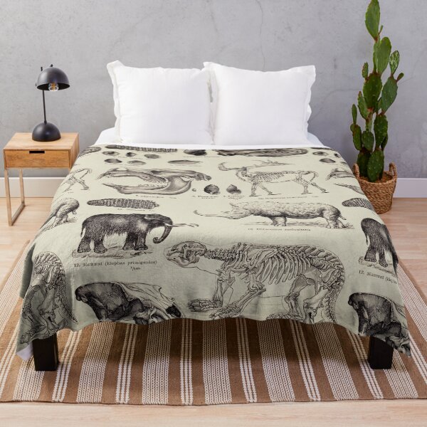 Item preview, Vintage Prehistoric Animals, Skeletons and Fossils designed and sold by LeAllureVintage.
