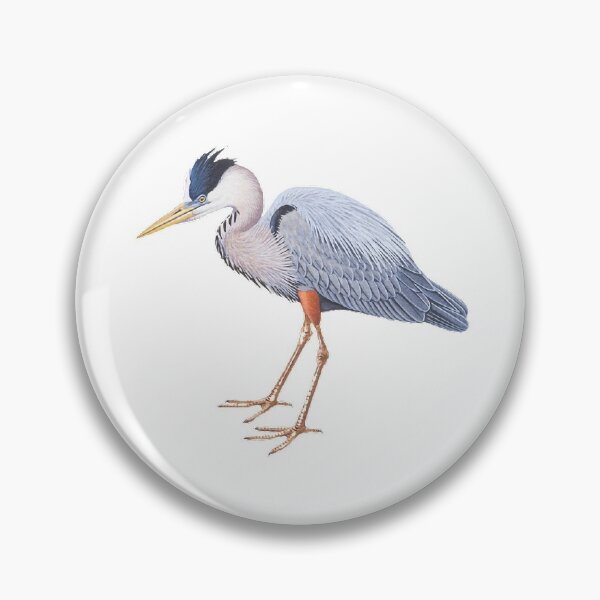 Item preview, The great blue heron (scientific name: Ardea herodias) is a bird of the ciconiiformes designed and sold by zenger2021.
