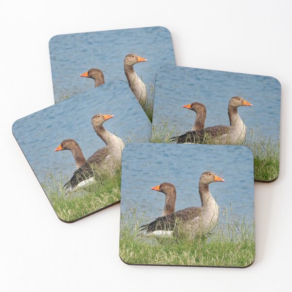 Item preview, A Pair of Wonderful Greylag Geese designed and sold by Karen Thomson.