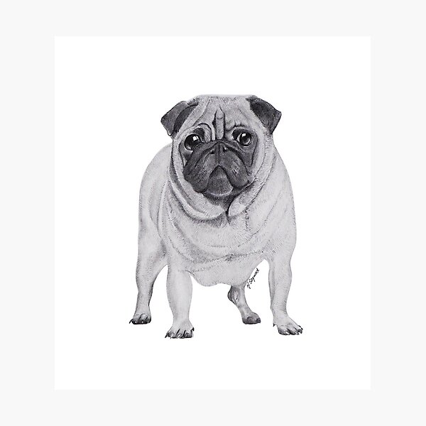 NORAH Photographic Print