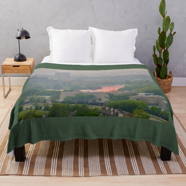 Item preview, Ottawa blanketed in smoke designed and sold by Shulie1.