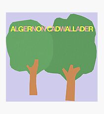 Algernon Cadwallader Photographic Print