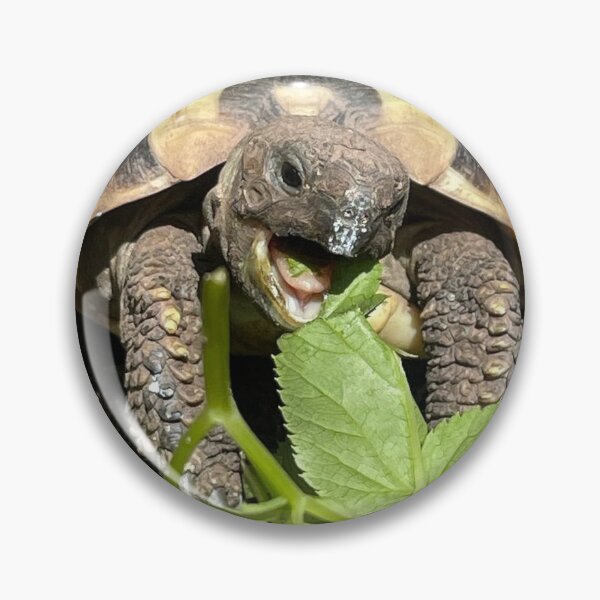 Item preview, Tortoise Tea Time designed and sold by MittensandMouse.