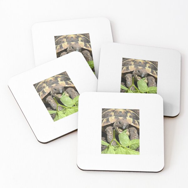 Item preview, Tortoise Tea Time designed and sold by MittensandMouse.
