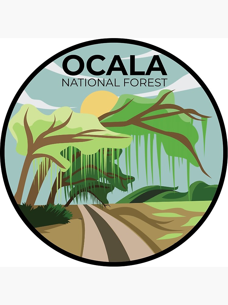 "Ocala National Forest" Poster for Sale by parkland Redbubble