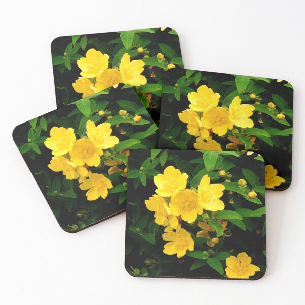 Item preview, A Fabulous Cluster of  Sunshine Yellow Hypericum Hidcote Flowers designed and sold by Karen Thomson.