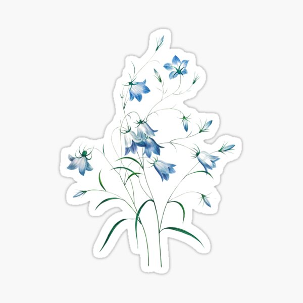 Aperçu de l'œuvre Fleurs de Campanule créée et vendue par DaphneKstudio .