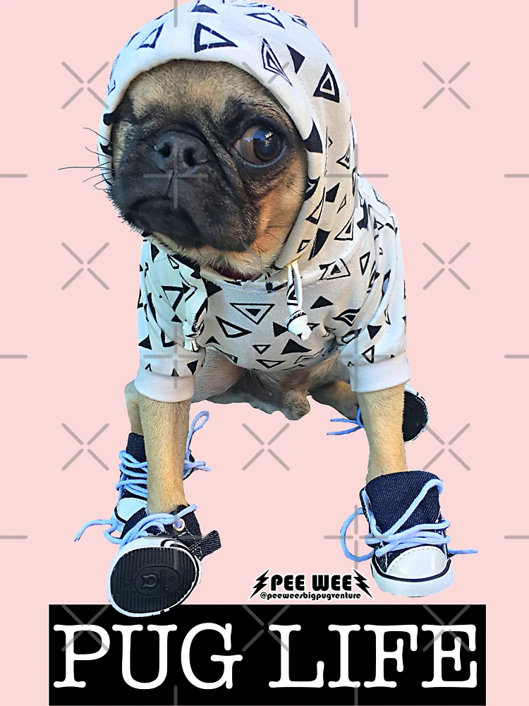 The pug 2024 life store