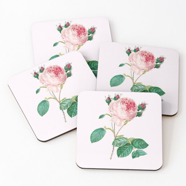 Item preview, Cabbage Rose Flower - III designed and sold by DaphneKstudio .