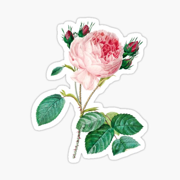 Vintage Style Flower Stickers