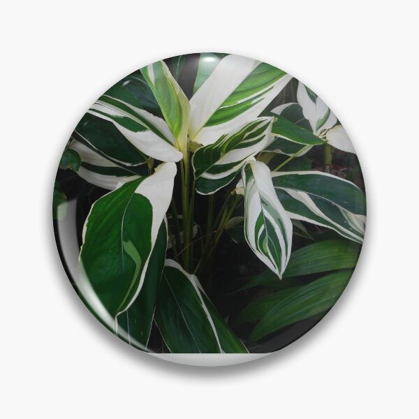 Item preview, Plants designed and sold by Thsid.