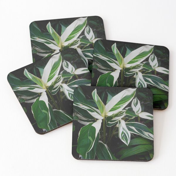 Item preview, Plants designed and sold by Thsid.