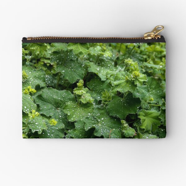 Alchemilla - High Definition Alchemilla Mollis Lady's Mantle Leaves Art Print Zipper Pouch