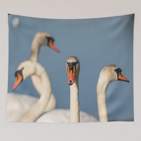 Item preview, A group of swans designed and sold by Neilchurcherart.