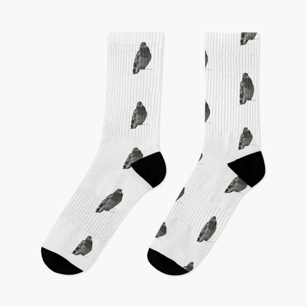 Item preview, Pigeon. Hand-drawn sketch designed and sold by Antonina Sotnikova.