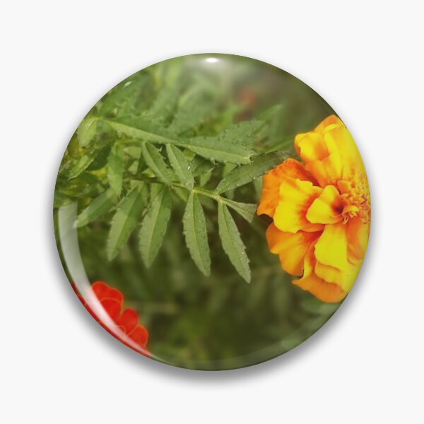 Item preview, Marigold glory designed and sold by Smashshoots.
