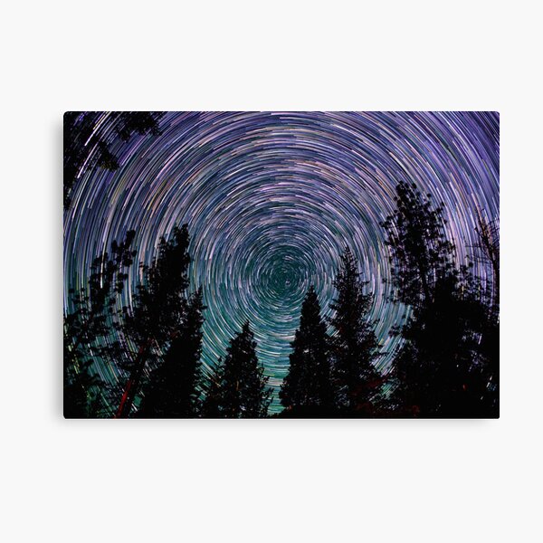Polaris Star Trails Over Forest in King's Canyon Canvas Print