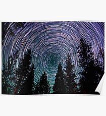 Polaris Star Trails Over Forest in King's Canyon Poster
