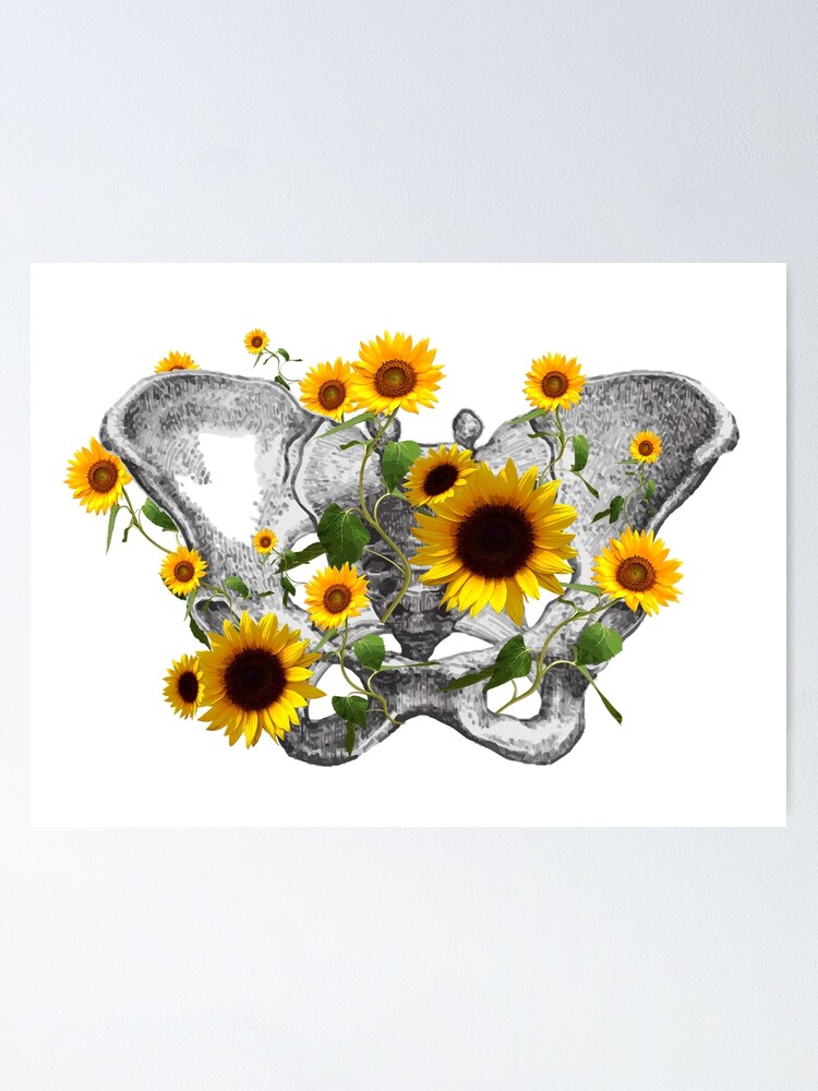 Póster «Feminismo, anatomía, arte anatómico, girasoles huesos femeninos de  la pelvis» de Collagedream | Redbubble