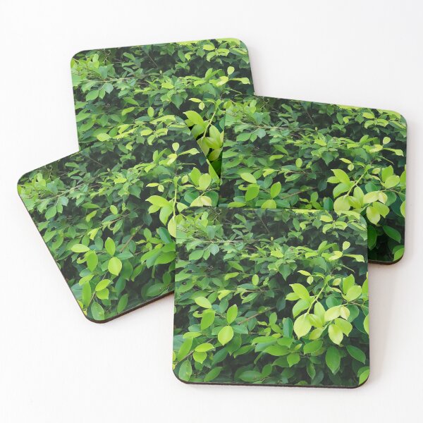 Item preview, A Bush Full Of Green Leaves designed and sold by Jane Nichole.