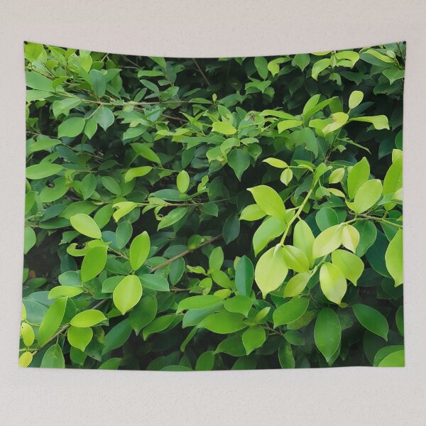 Item preview, A Bush Full Of Green Leaves designed and sold by Jane Nichole.