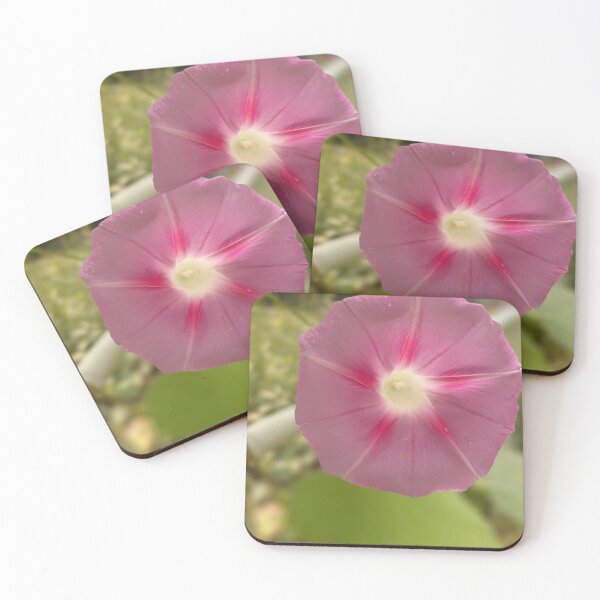 Item preview, Morning dew designed and sold by Smashshoots.