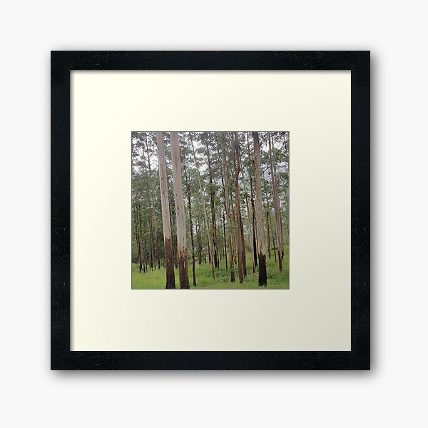 Item preview, Tall Trees Near Lake designed and sold by Jane Nichole.