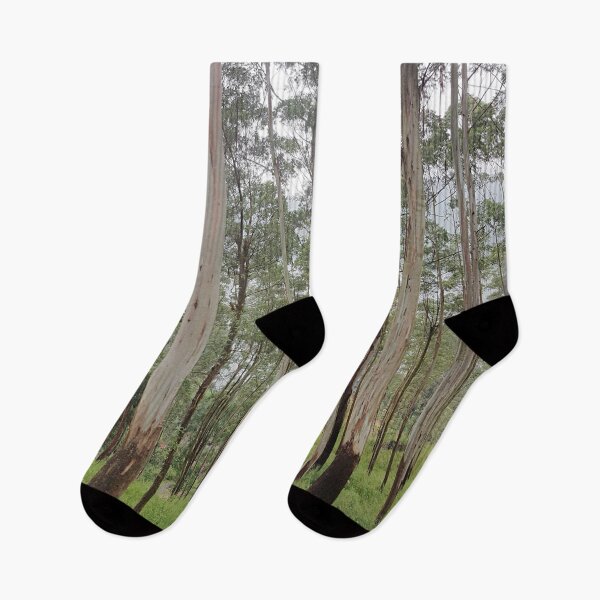 Item preview, Tall Trees Near Lake designed and sold by Jane Nichole.